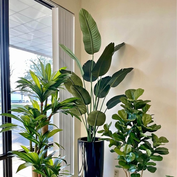 Meet your Posher, Chi - Picture 1 of 1